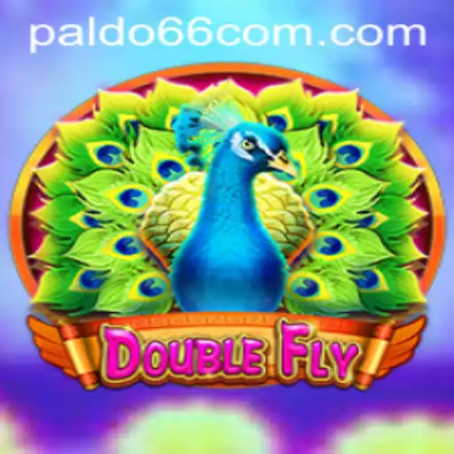 DoubleFly: Exploring the Exciting World of Paldo66